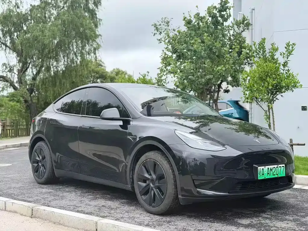 Tesla Model Y — фото 6