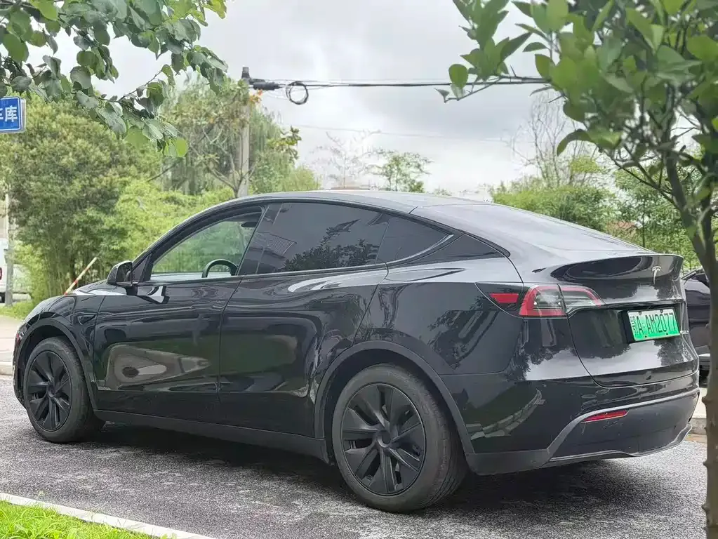 Tesla Model Y — фото 9