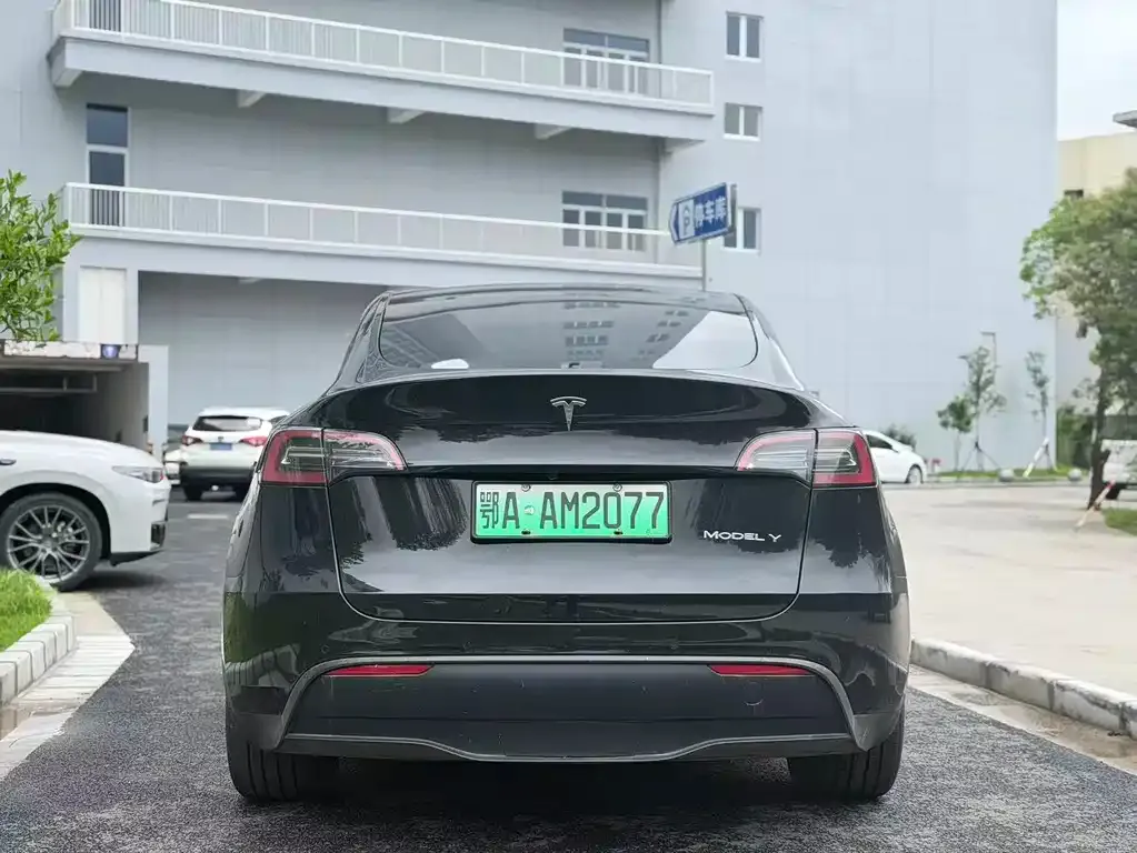 Tesla Model Y — фото 5