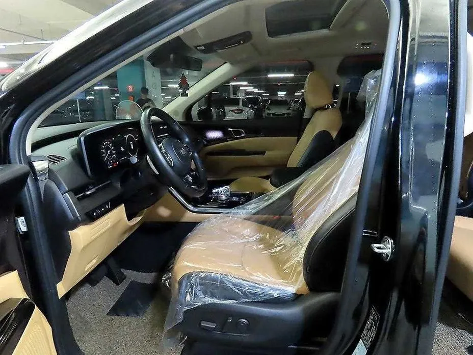 Kia Carnival — фото 10