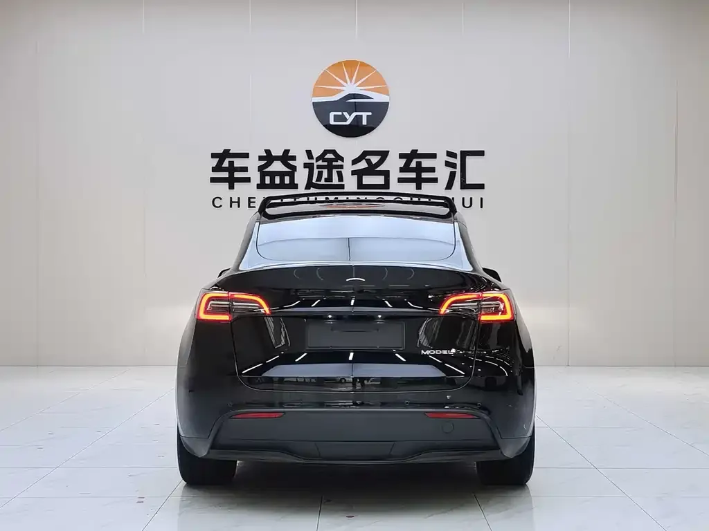 Tesla Model Y — фото 2