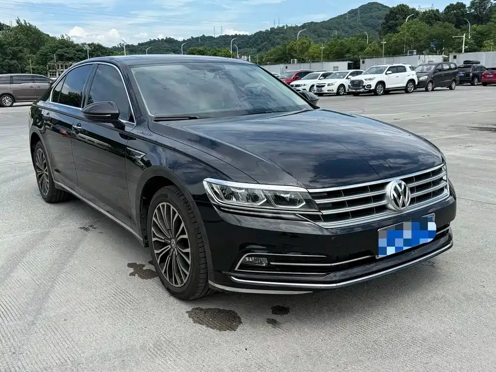 Volkswagen Phideon 2021 из CN, фото 4