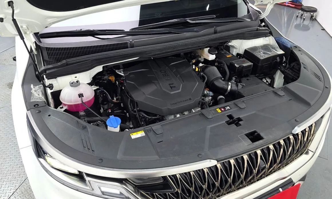 Kia Carnival — фото 10
