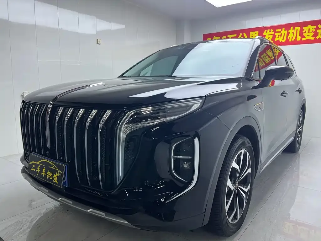 Hongqi HS7 2023 из CN, фото 3