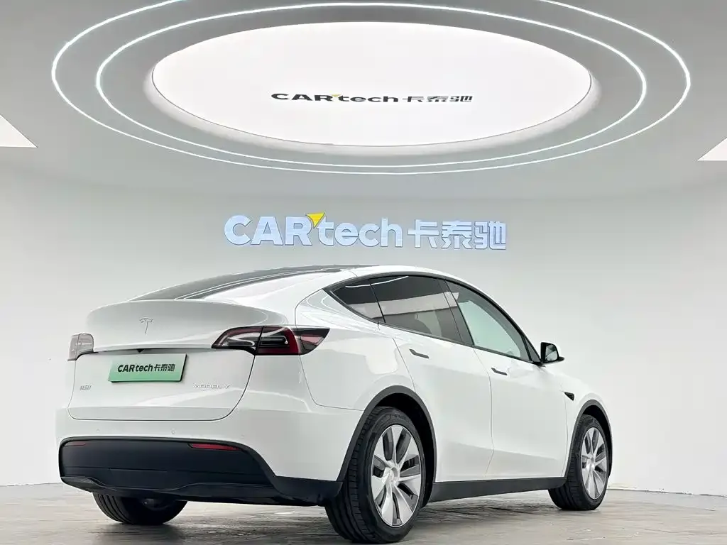 Tesla Model Y — фото 8