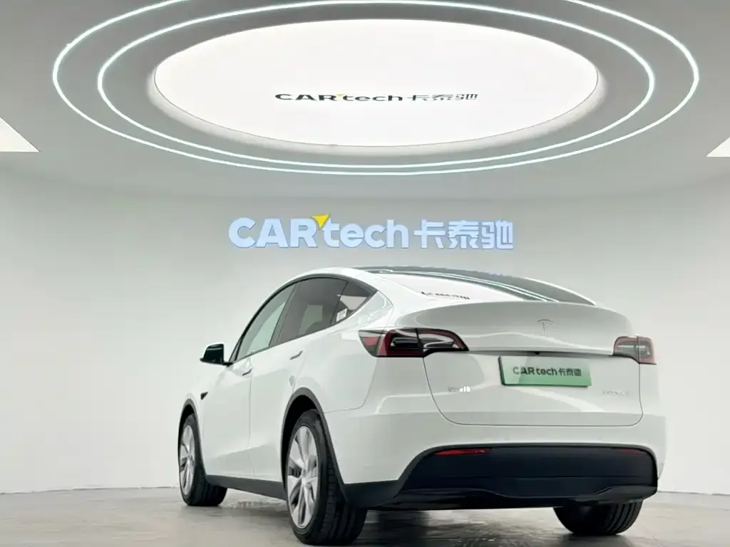 Tesla Model Y — фото 2