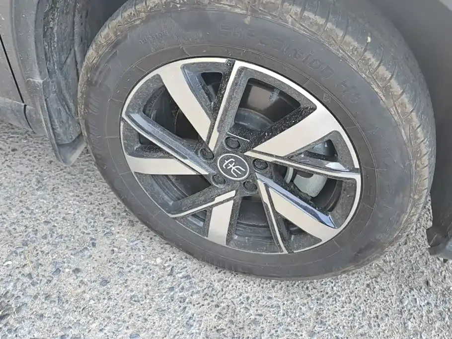 BYD Pro New Energy — фото 4