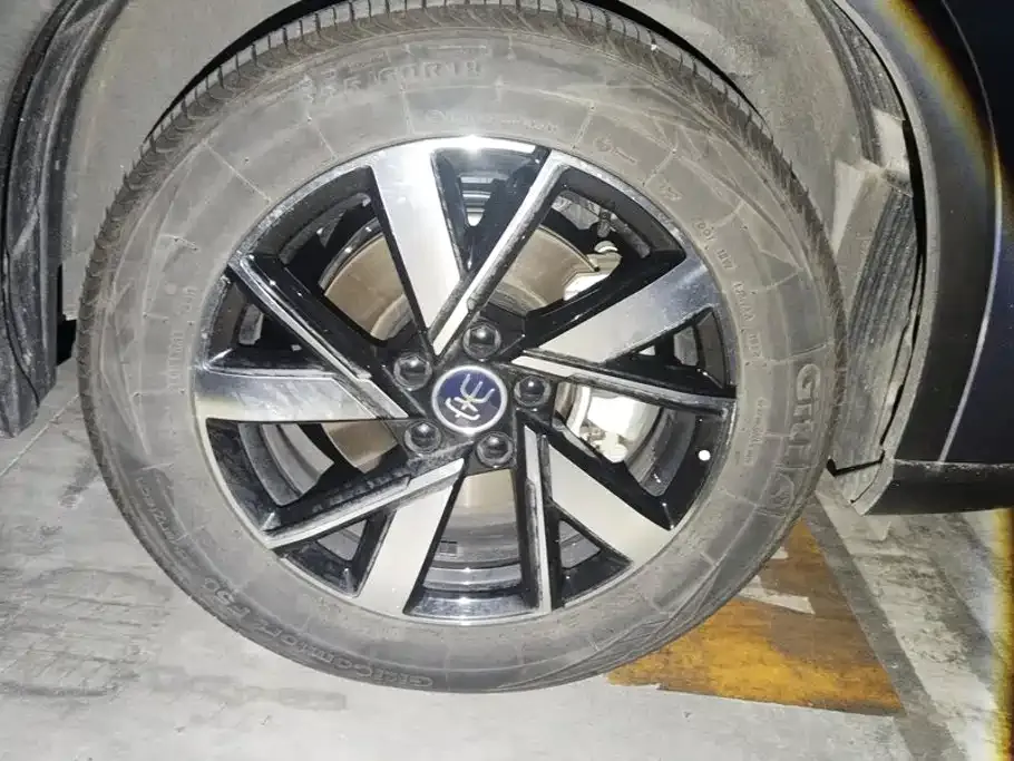 BYD Pro New Energy — фото 8