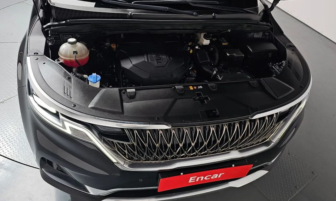 Kia Carnival — фото 10