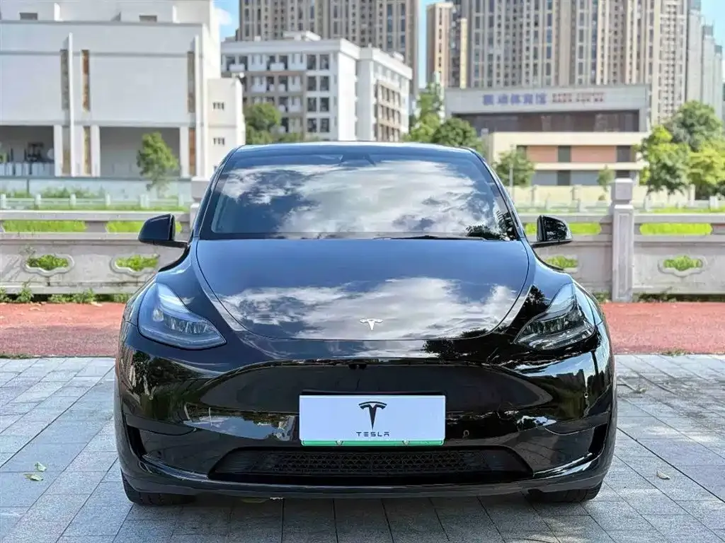 Tesla Model Y — фото 8