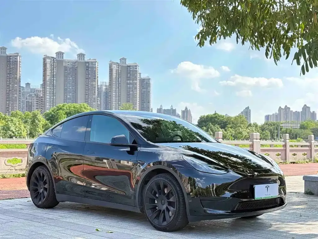Tesla Model Y — фото 3
