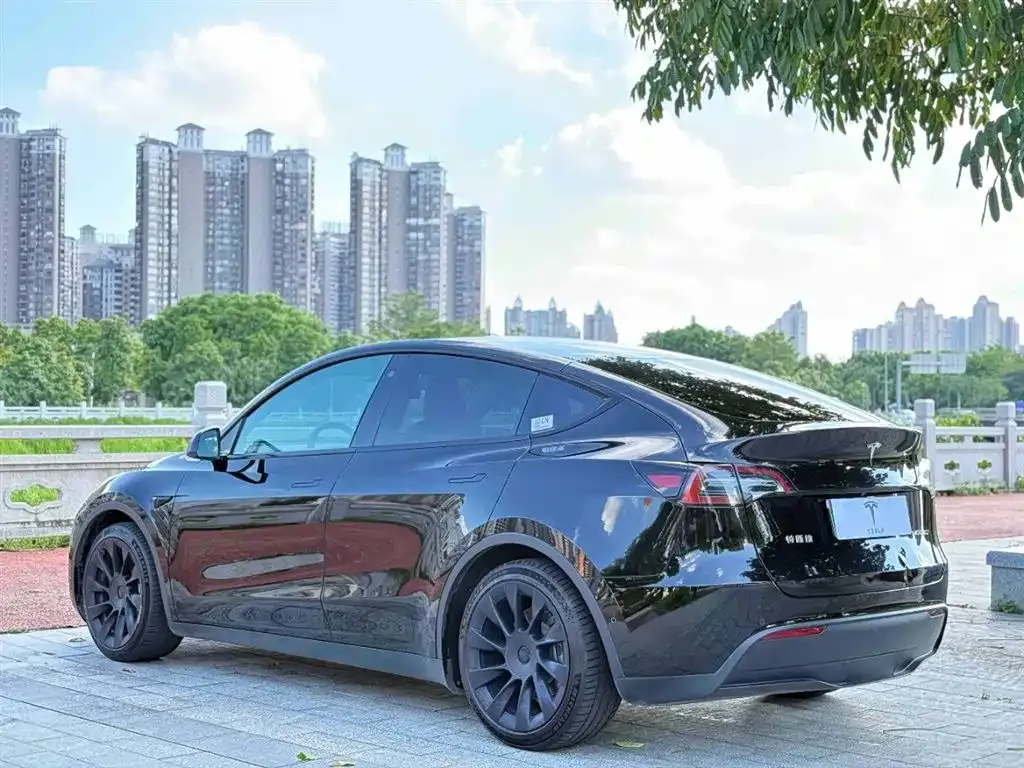 Tesla Model Y — фото 6