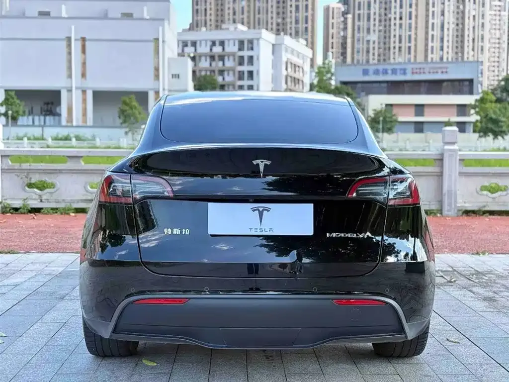 Tesla Model Y — фото 5