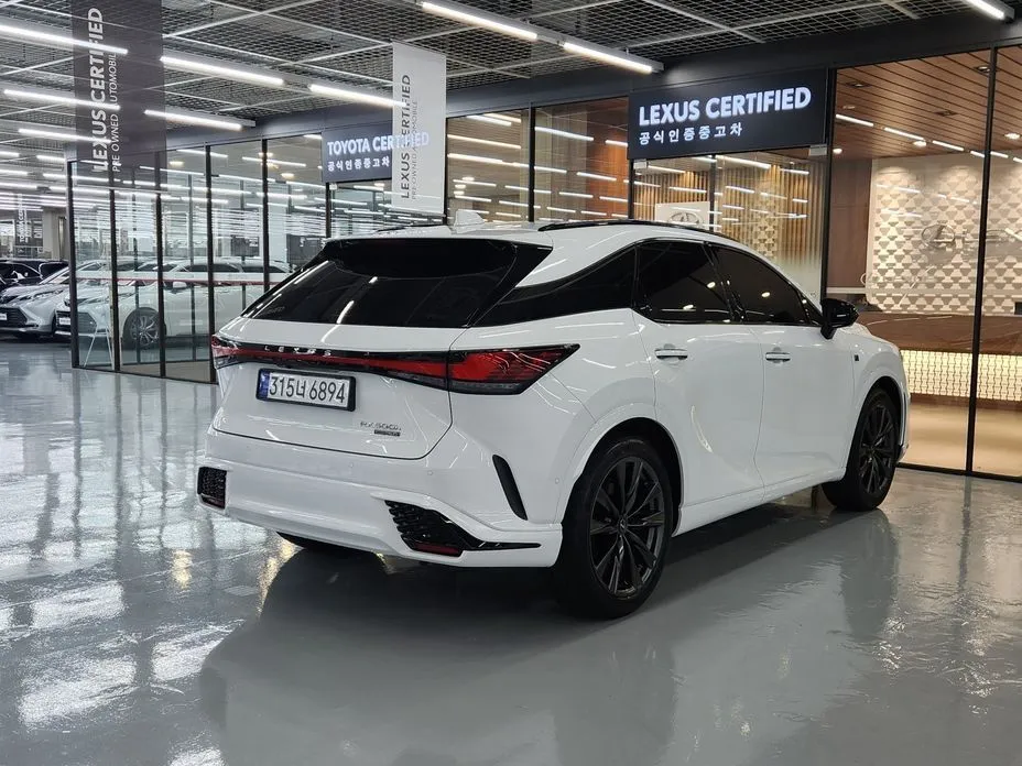 Lexus RX 2024 из KR, фото 10