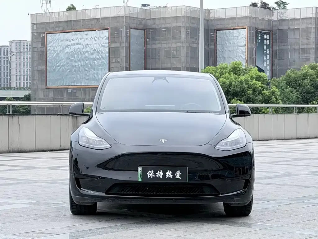 Tesla Model Y — фото 1