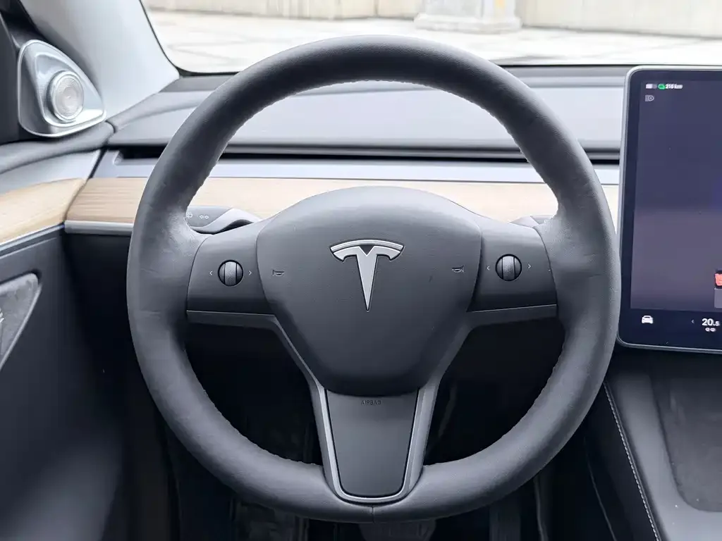 Tesla Model Y — фото 2