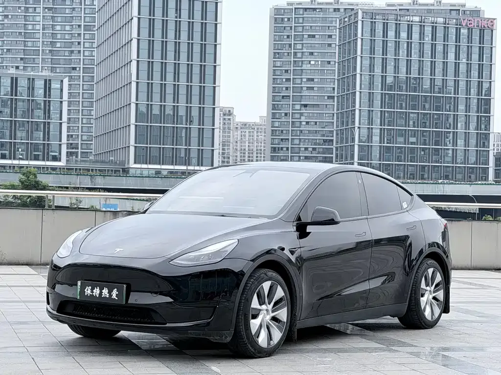 Tesla Model Y — фото 10