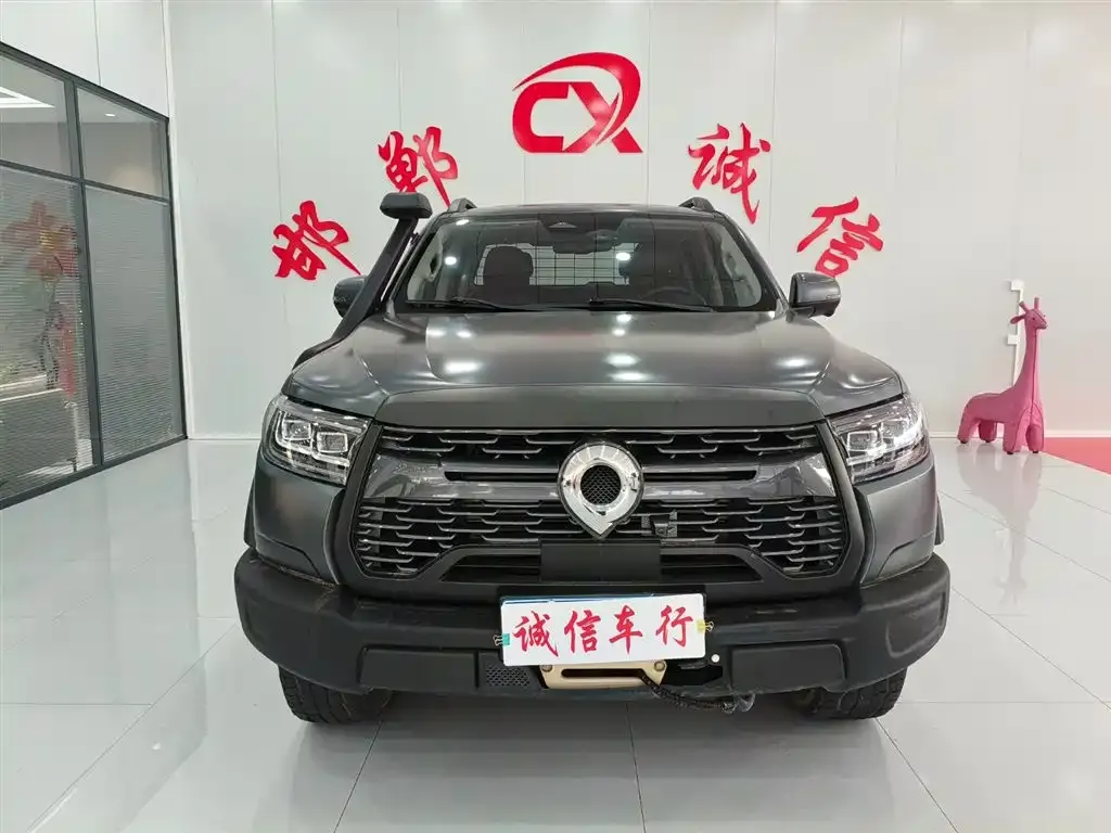 Great Wall Pao 2024 из CN, фото 4