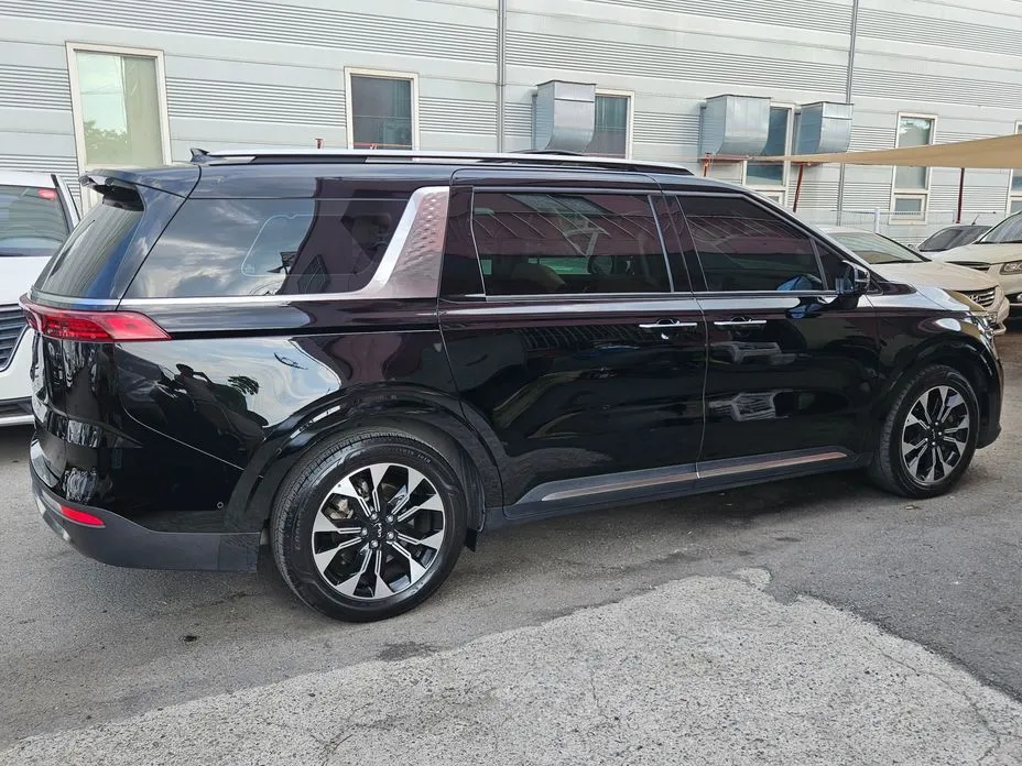 Kia Carnival — фото 10