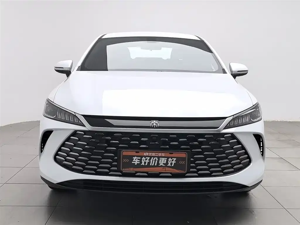 BYD Qin PLUS — фото 3