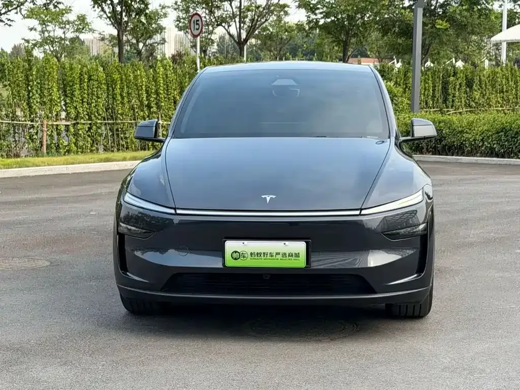 Tesla Model Y — фото 7