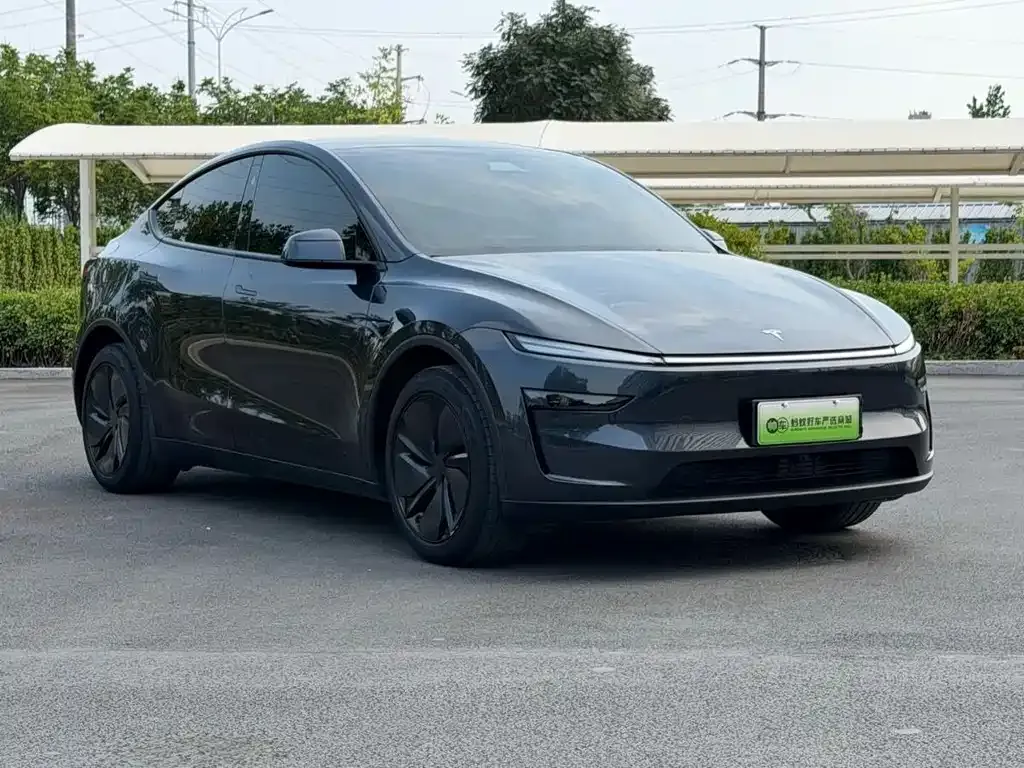 Tesla Model Y — фото 8