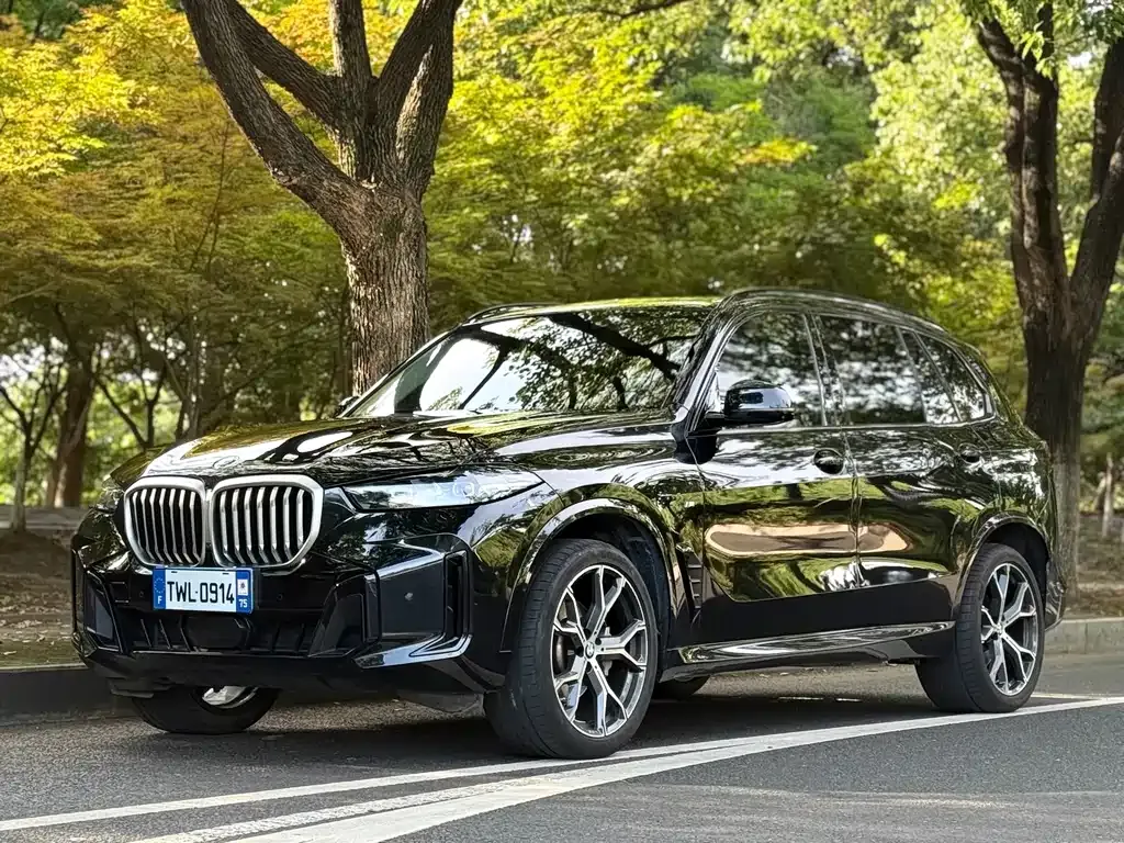 BMW X5 — фото 1