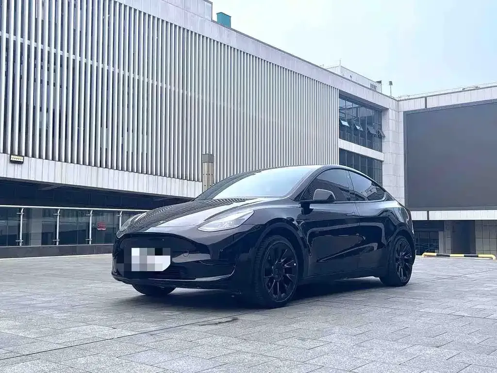 Tesla Model Y — фото 1