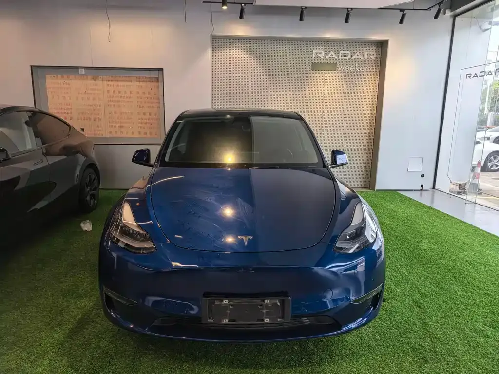 Tesla Model Y — фото 2