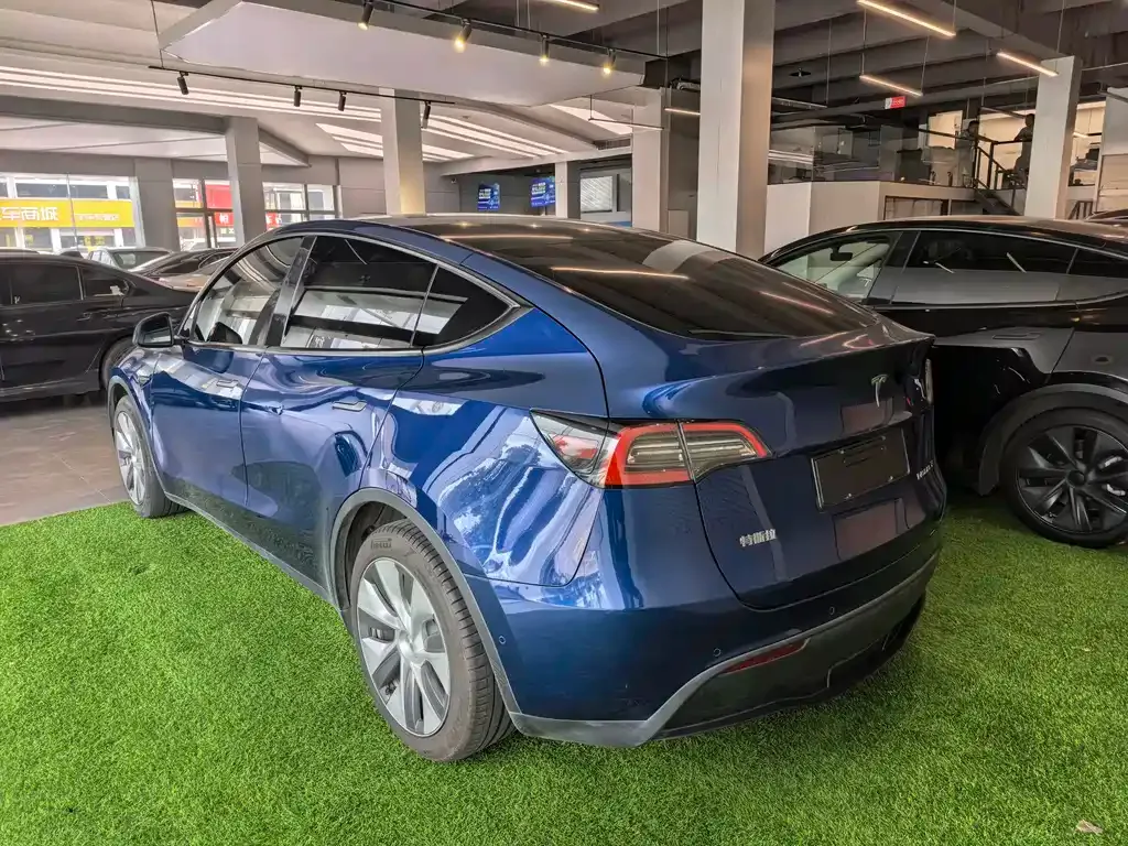 Tesla Model Y — фото 3