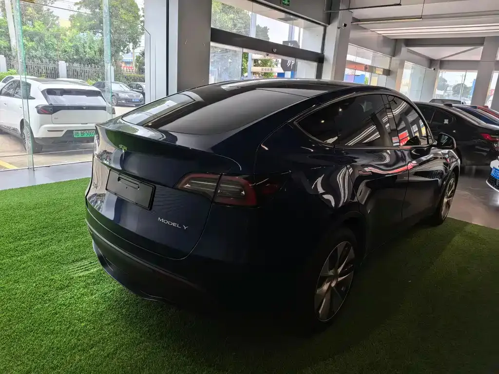 Tesla Model Y — фото 8