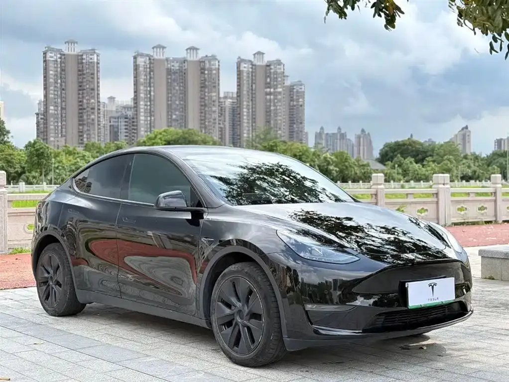 Tesla Model Y — фото 4