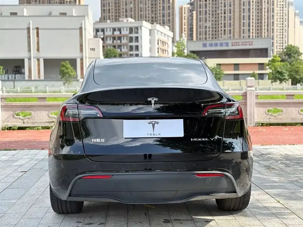 Tesla Model Y — фото 6
