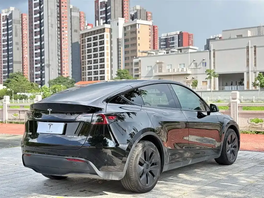 Tesla Model Y — фото 3