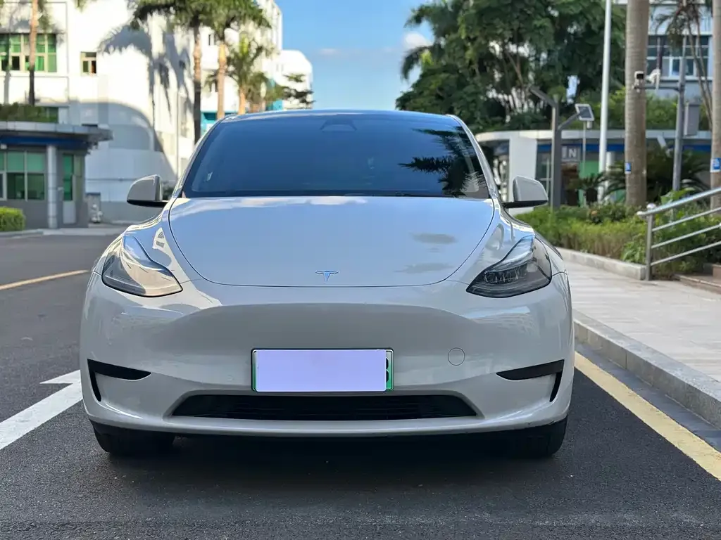 Tesla Model Y — фото 2