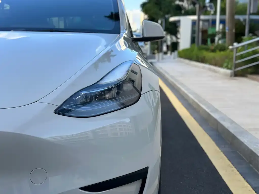 Tesla Model Y — фото 9