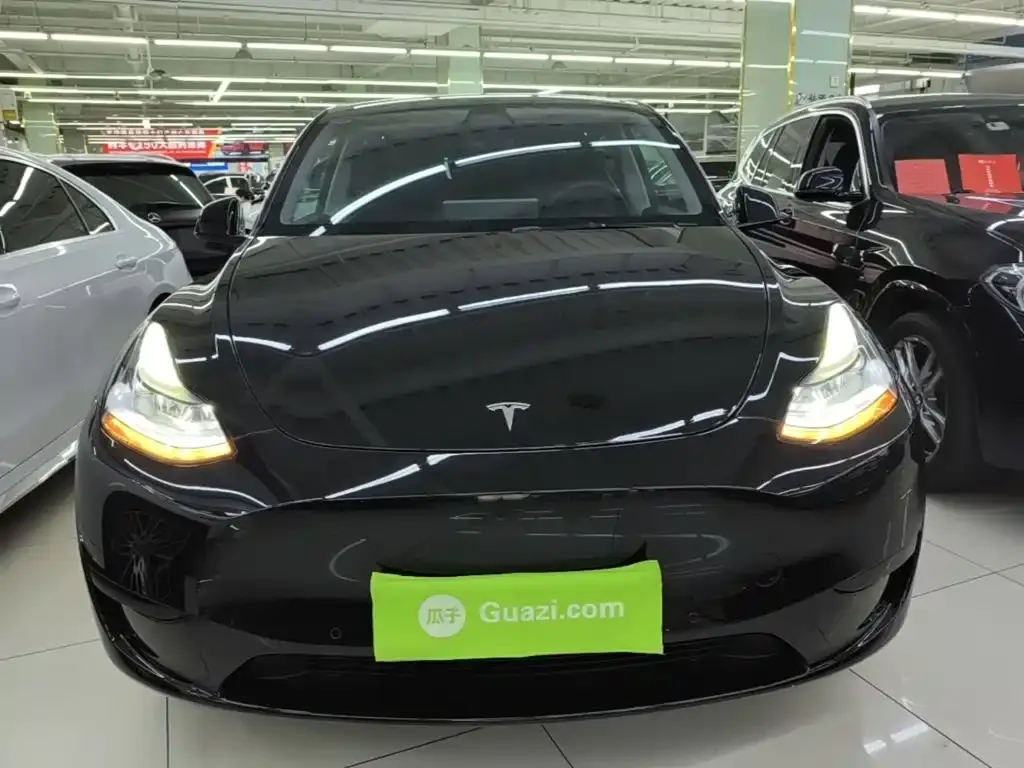 Tesla Model Y — фото 9