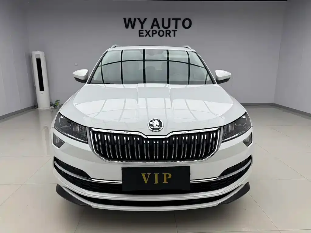 Skoda Karoq — фото 5
