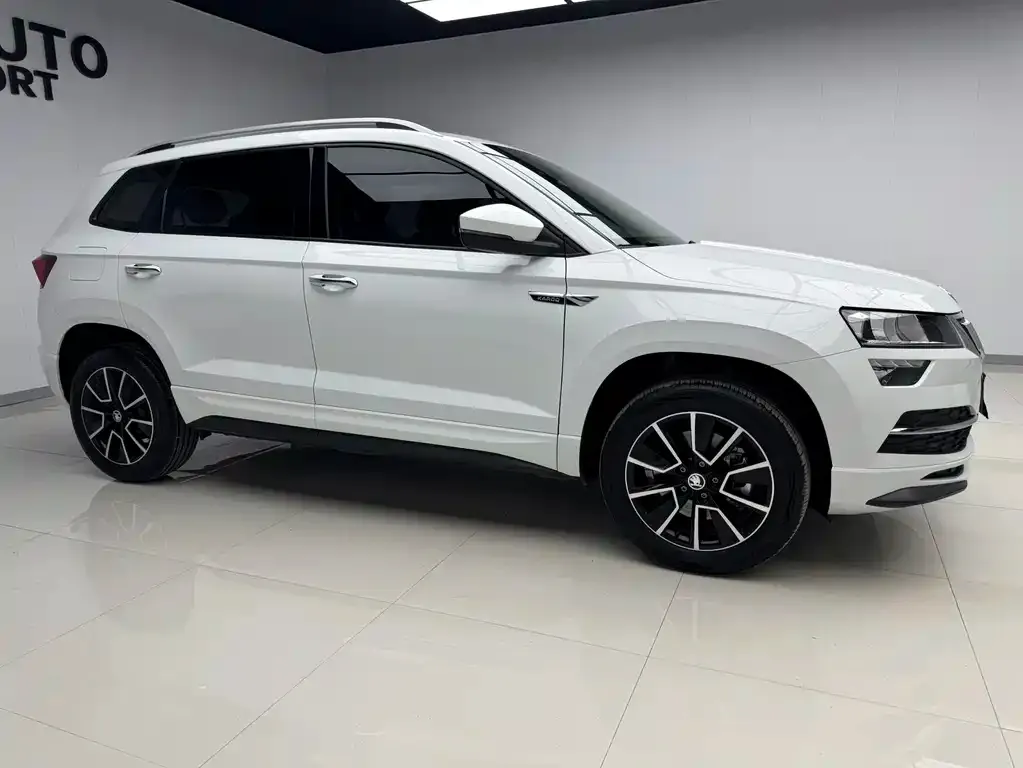 Skoda Karoq — фото 3