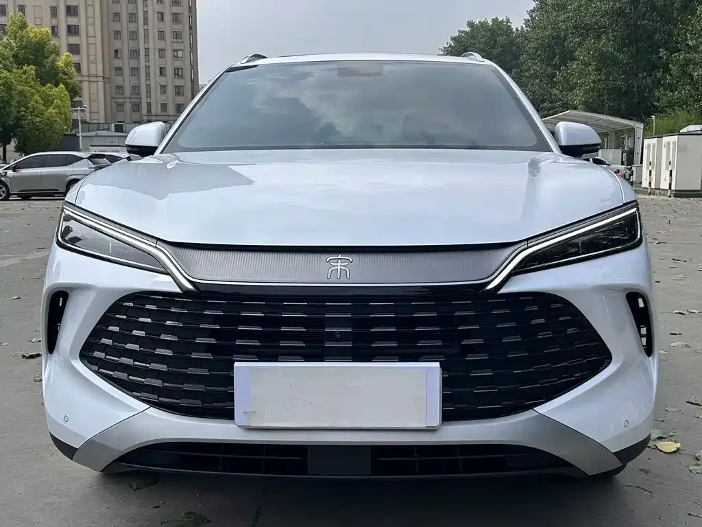 BYD L DM-i — фото 5