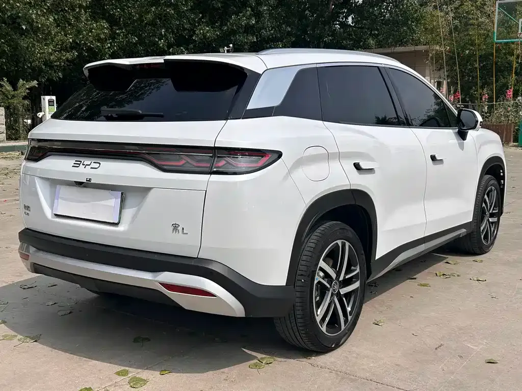 BYD L DM-i — фото 4