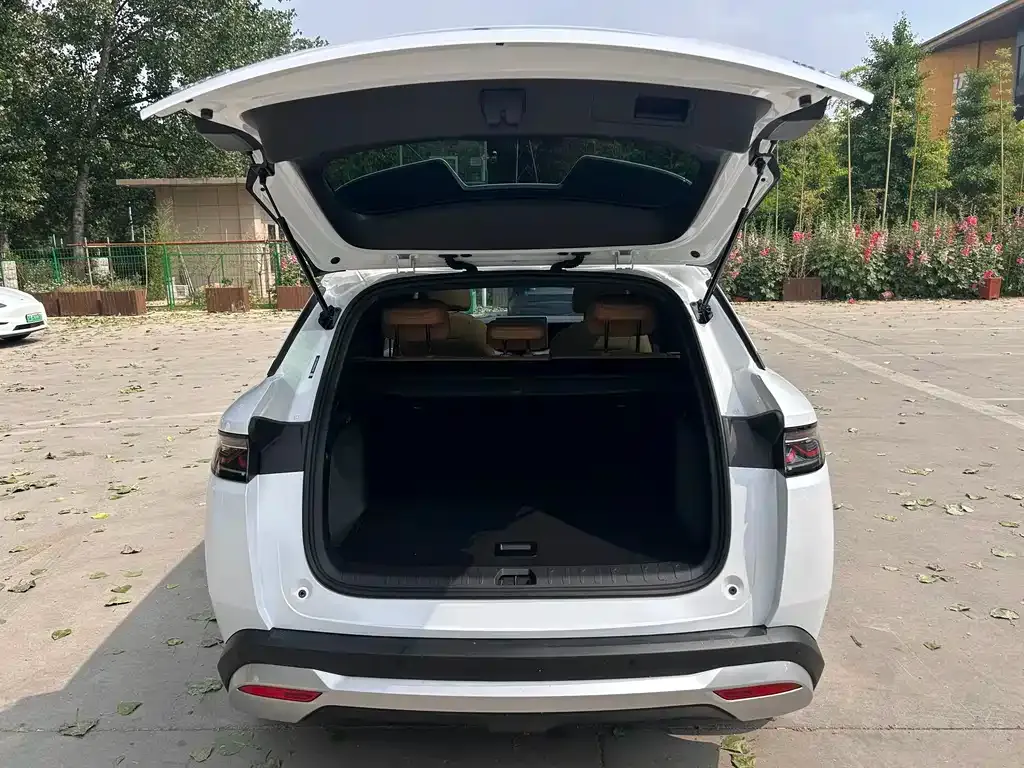 BYD L DM-i — фото 9
