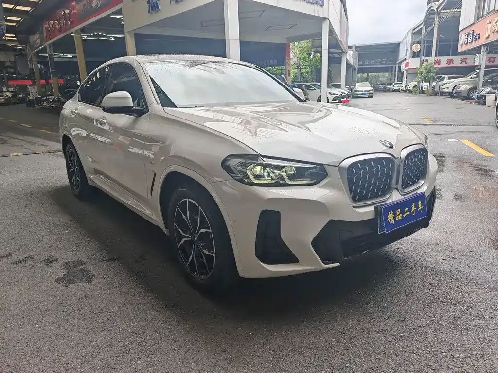 BMW X4 — фото 9