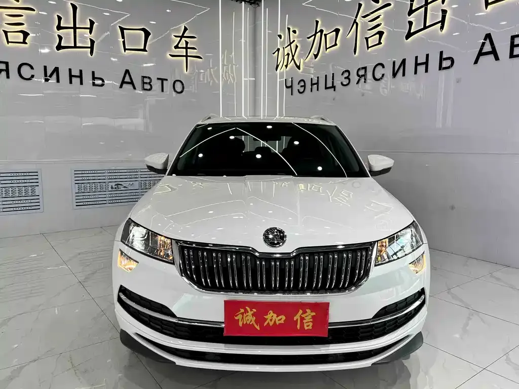 Skoda Karoq — фото 6