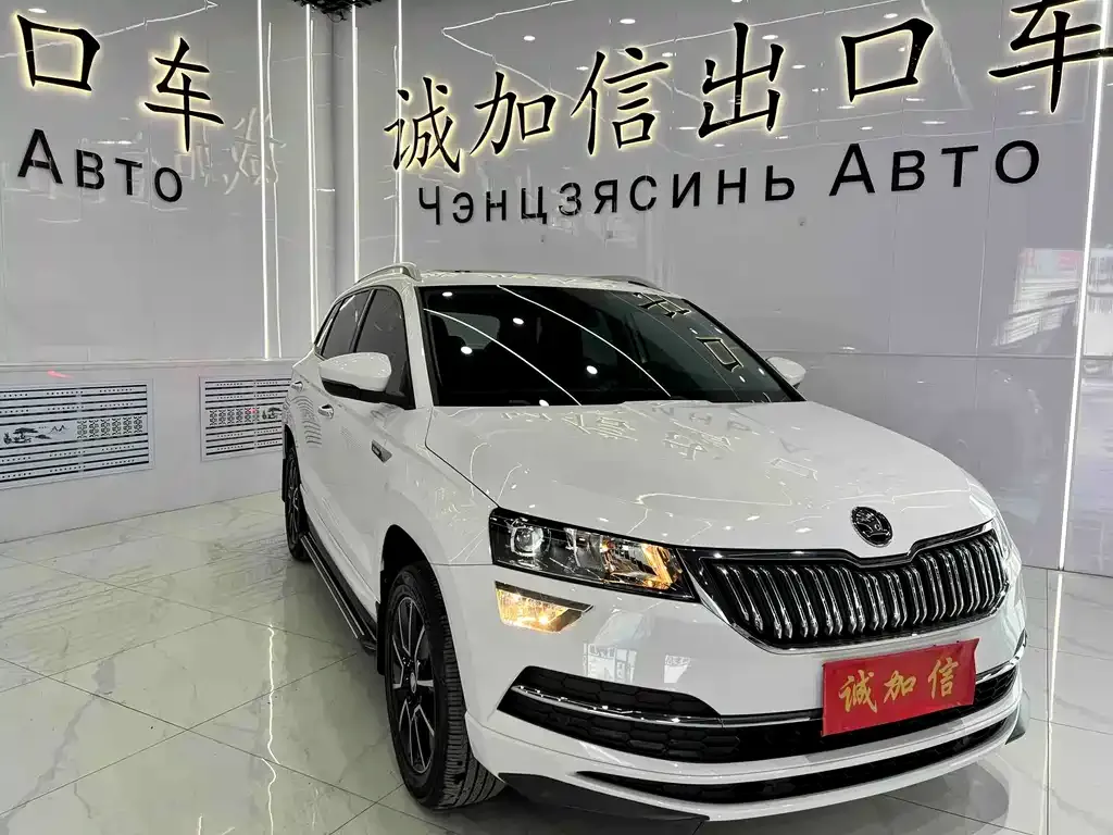 Skoda Karoq — фото 8