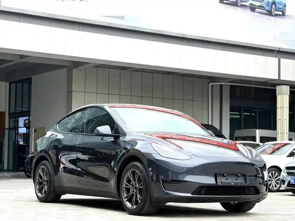 Tesla Model Y — фото 6