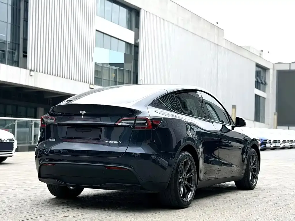 Tesla Model Y — фото 9