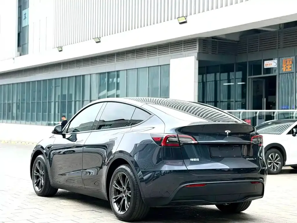 Tesla Model Y — фото 8