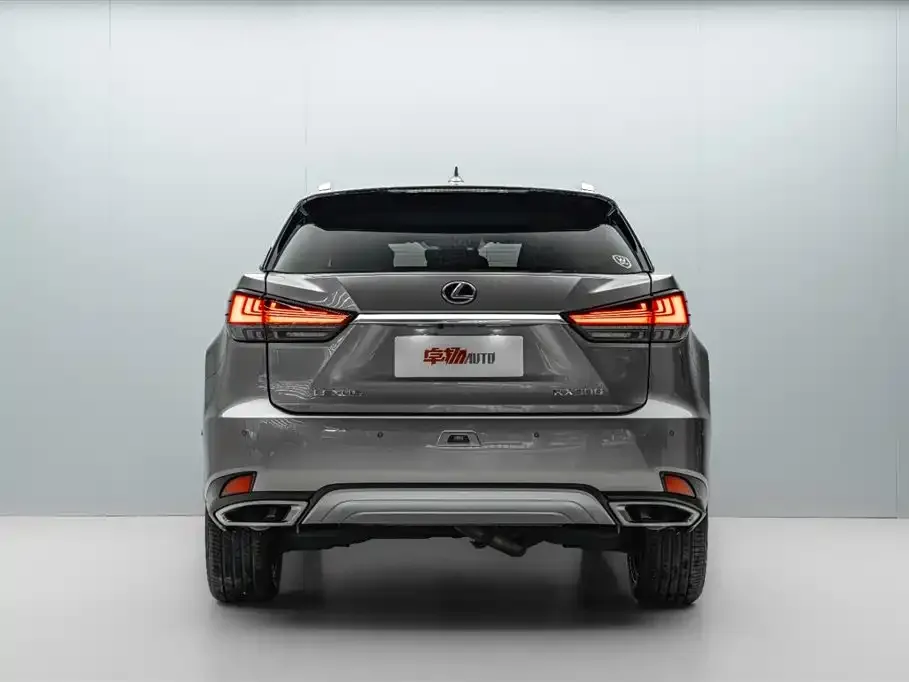 Lexus RX — фото 9