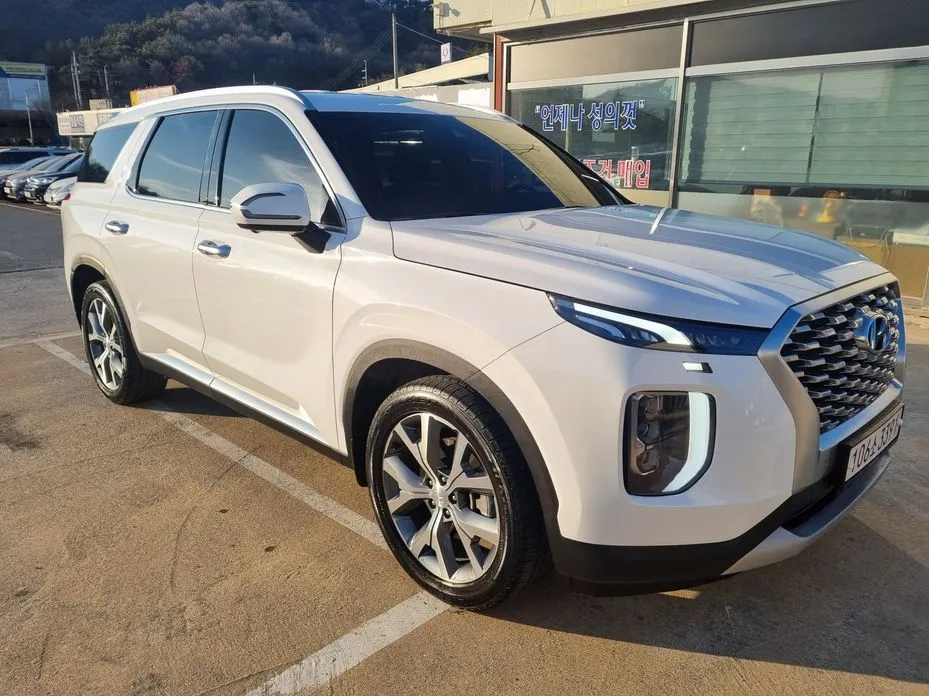 Hyundai Palisade — фото 1